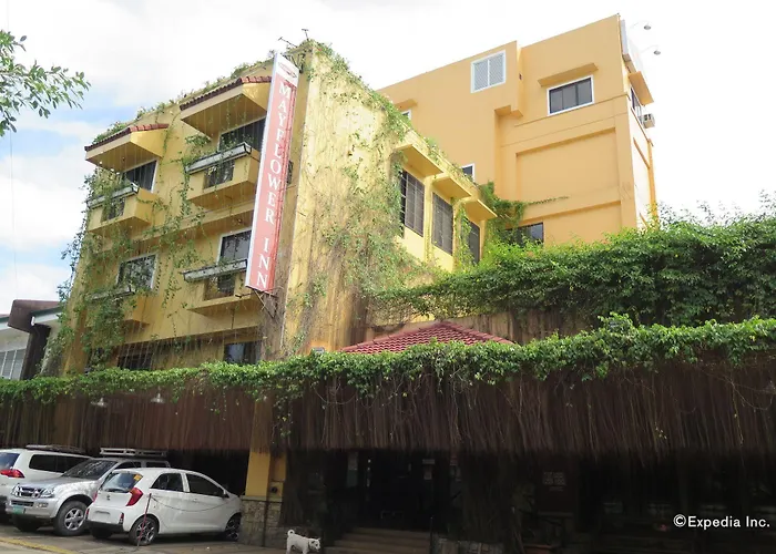 The Mayflower Cebu